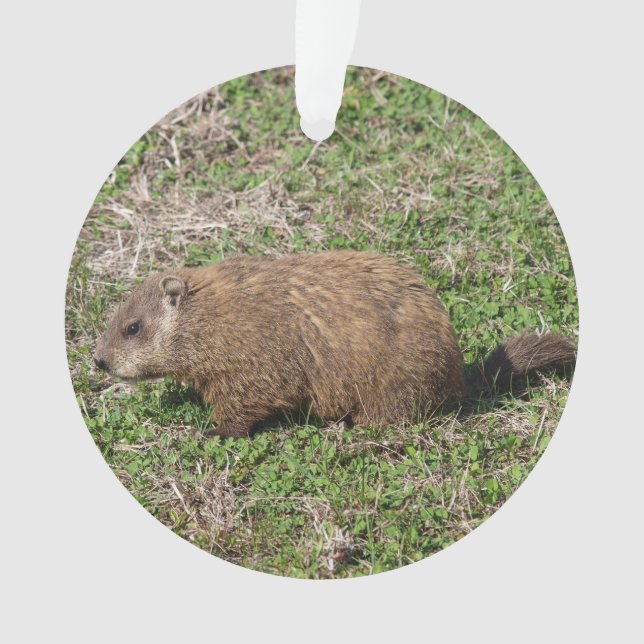 Groundhog Ornament (Vorderseite)