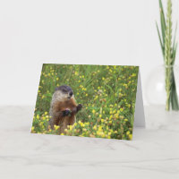 Groundhog-Pose