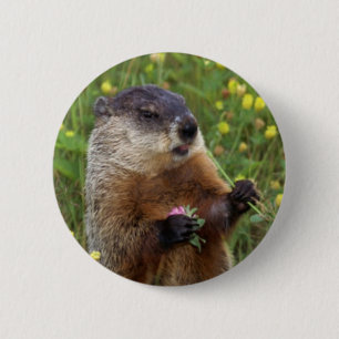 Groundhog-Pose - Naher Button