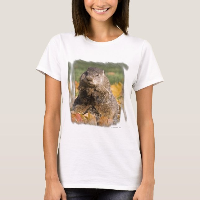 Groundhog T-Shirt (Vorderseite)