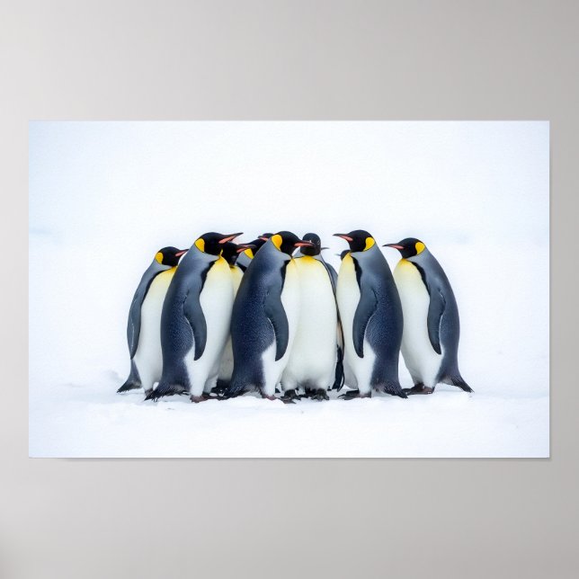 Group of Penguins Poster (Vorne)