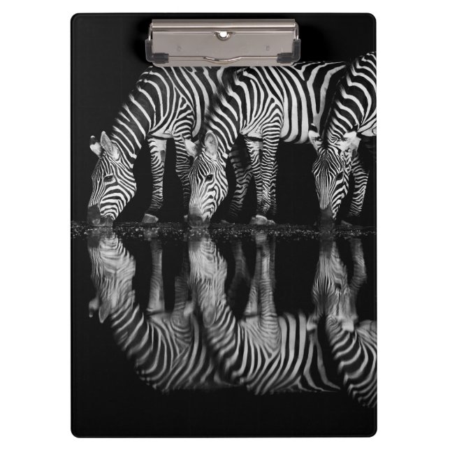 Group of Plains Zebra Drink Together at Night Klemmbrett (Vorderseite)