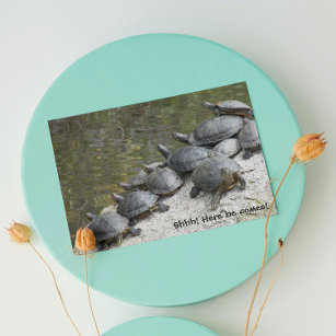 Group of Turtles Photo Funny Birthday Karte