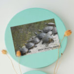 Group of Turtles Photo Funny Birthday Karte<br><div class="desc">Funny birthday card for all that features a photo image of turtles sun bathing on a rock in a pond. Select from matte or glossy style card.</div>