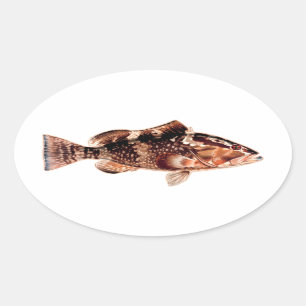 Grouper Fish Ovaler Aufkleber