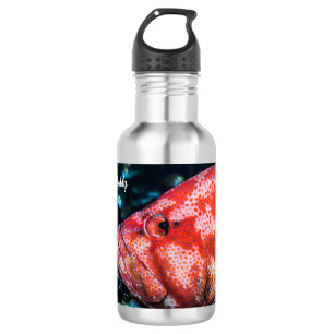 Grouper und Cleaner Shrimp Edelstahlflasche