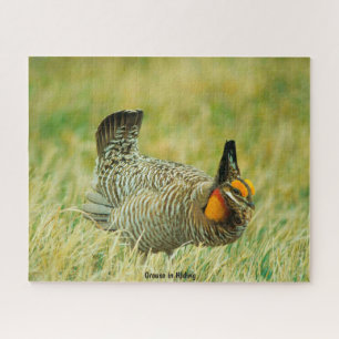 Grouse in Hiding Puzzle