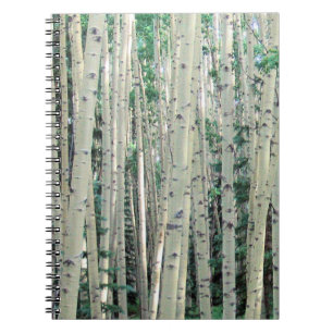 Grove of Mountain Aspen Trees Notebook Notizblock