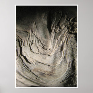 Grove of the Patriarchas Poster