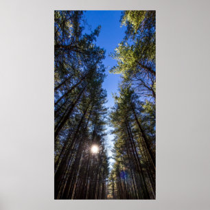 Groveport, OH Poster