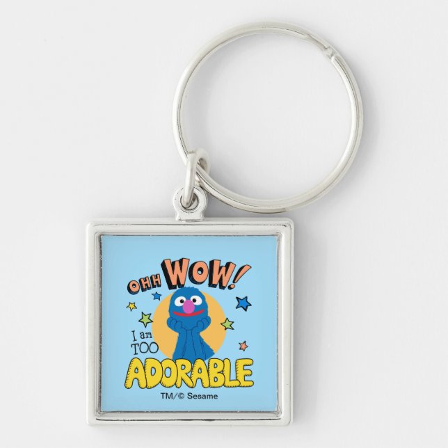 Grover | Ich bin zu anmutig Schlüsselanhänger (Vorne)