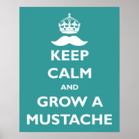 Grow a Mustache