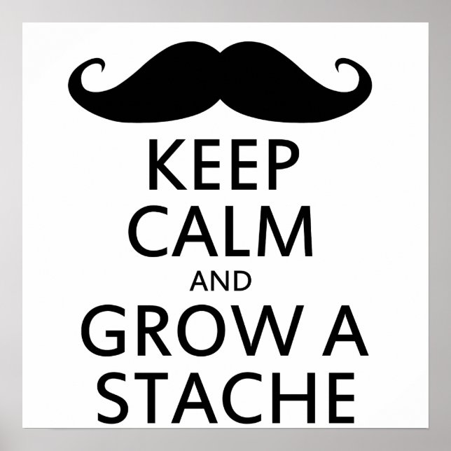 Grow a Stache Poster (Vorne)
