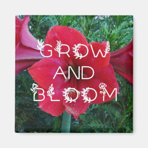 "Grow and Bloom"-Magnete Magnet