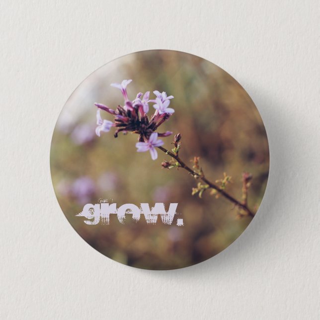 ‚Grow‘ Button (Vorderseite)
