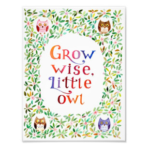Grow Kleine Eule Aquarell Fotodruck