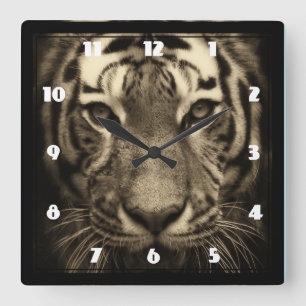 Growling Tiger Face in Sepia Tones Quadratische Wanduhr