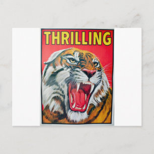 Growling Tiger Postkarte