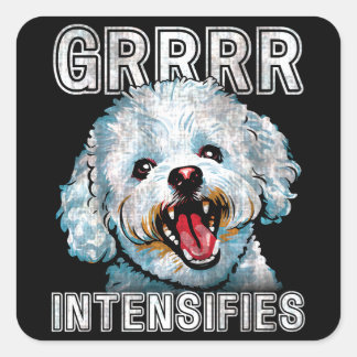 Grrr intensiviert Funny Bichon Frise Dog Meme Quadratischer Aufkleber