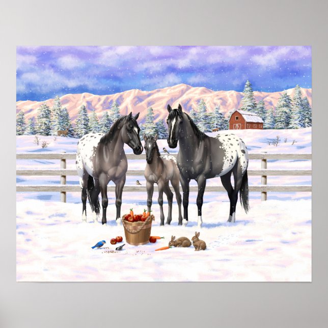 Grulla Gray Appaloosa Pferde auf einem schneebedec Poster (Vorne)