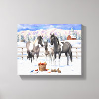 Grulla Pinto Gray Paint Horses on Winter Farm