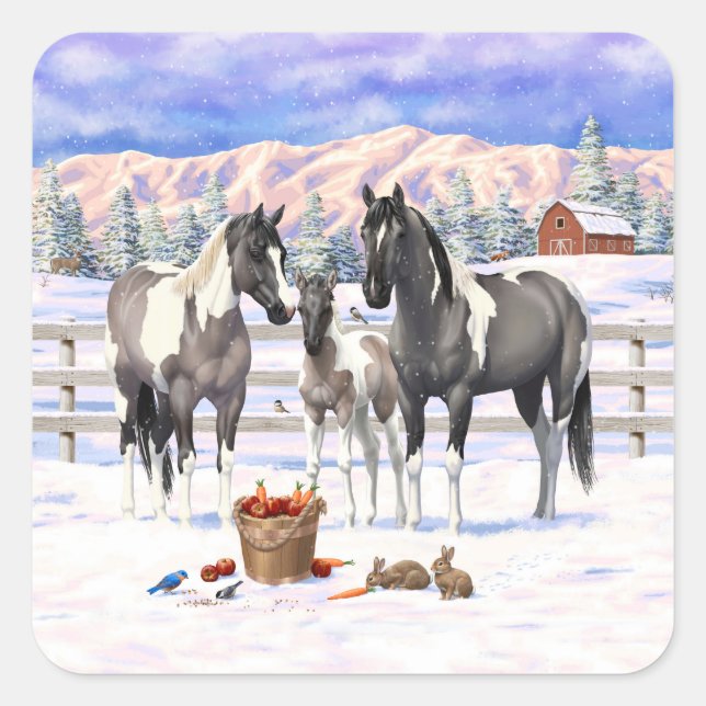Grulla Pinto Gray Paint Horses on Winter Farm Quadratischer Aufkleber (Vorderseite)
