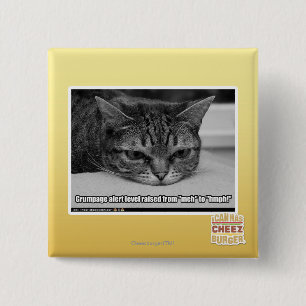 Grumpage Alarm Button