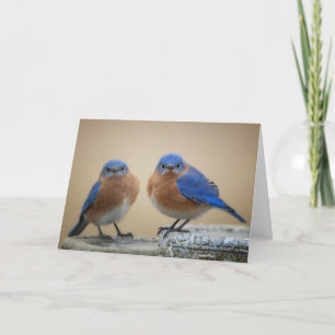 Grumpige kleine Männer Karte