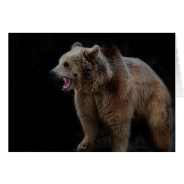 Grumpiger Bär! (Vorderseite (Horizontal))