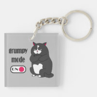 Grumpiger Modus bei lustiger, dicker Katze