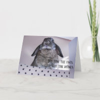 Grumpy Angry Oaster Bunny Funny Spaß Card