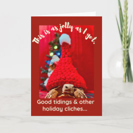 Grumpy baby sulcata tortoise in red hat Holiday Karte