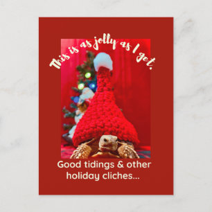 Grumpy baby sulcata tortoise in red hat Holiday Postkarte