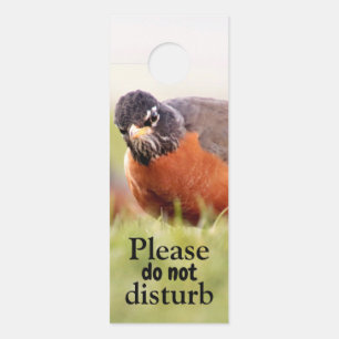 Grumpy Bird stört nicht die Türgefährdung Türanhänger