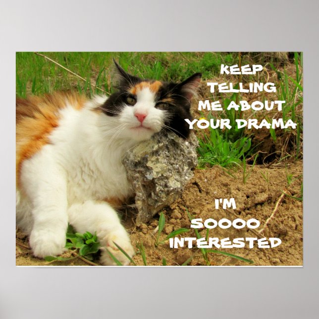 Grumpy Calico Cat Drama Sarcasm Poster (Vorne)
