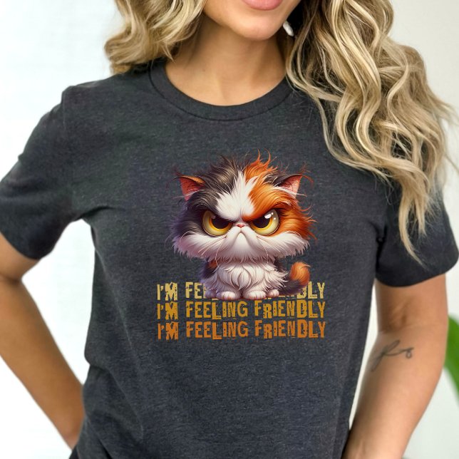Grumpy Calico Cat und lustiges Zitat Tri-Blend Shirt (Von Creator hochgeladen)