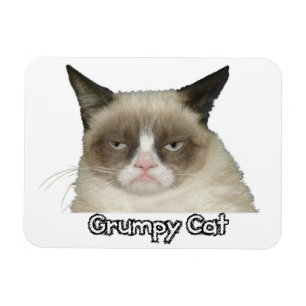 Grumpy Cat 3x4 Flexible Magnet