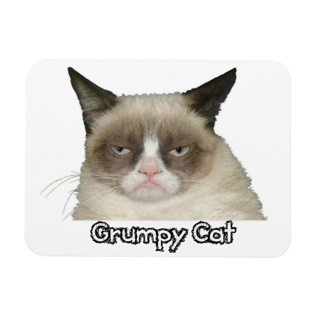 Grumpy Cat 3x4 Flexible Magnet (Horizontal)