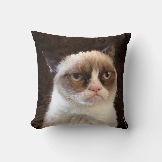 Grumpy Cat Brown Kissen (Vorderseite)