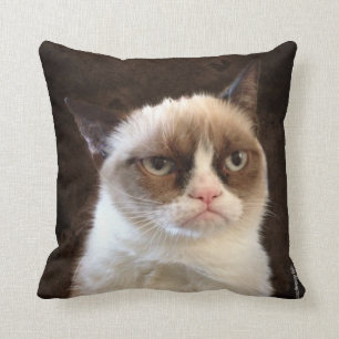 Grumpy Cat Brown Kissen