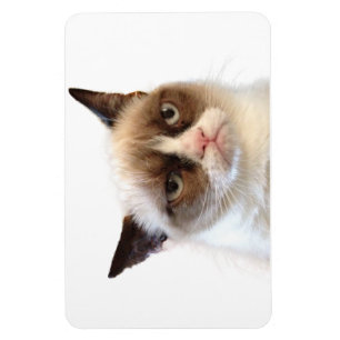 Grumpy Cat Flexible Magnet