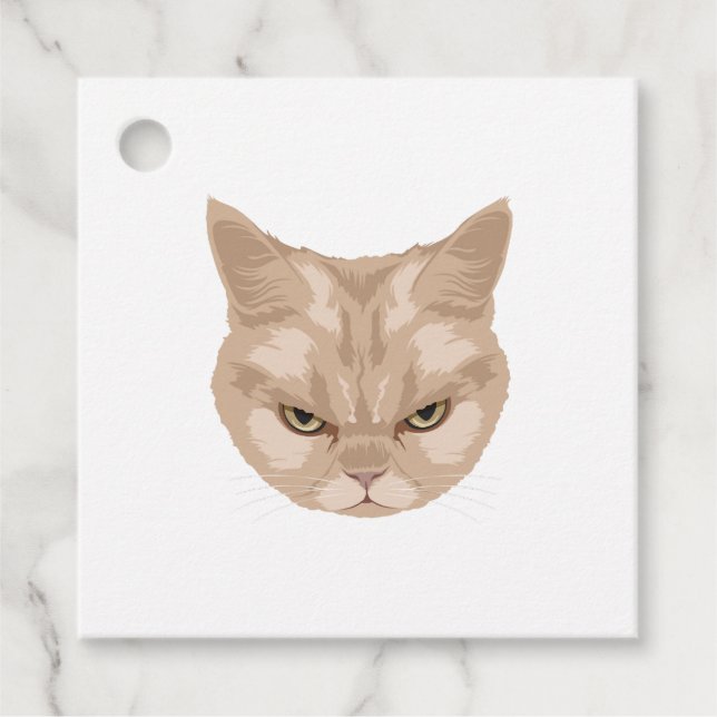 Grumpy Cat Geschenkanhänger (Vorderseite)