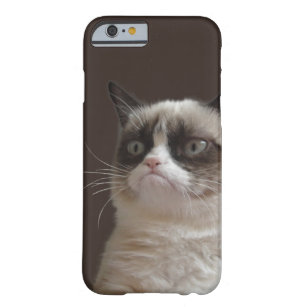 Grumpy Cat Glare Barely There iPhone 6 Hülle