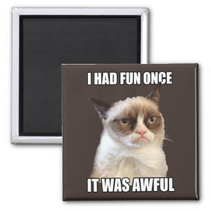 Grumpy Cat - ich hatte einmal Spaß Magnet