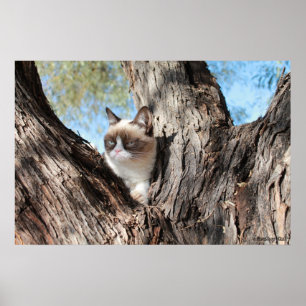 Grumpy Cat™ in einem Baumposter Poster
