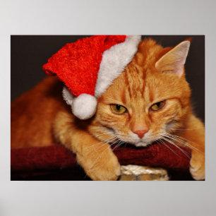 Grumpy Cat in einem roten Weihnachtsmann-Hut Poste Poster