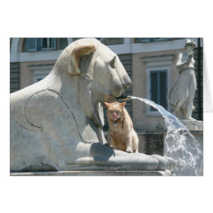 Grumpy Cat in Rom, Brunnen auf der Piazza
