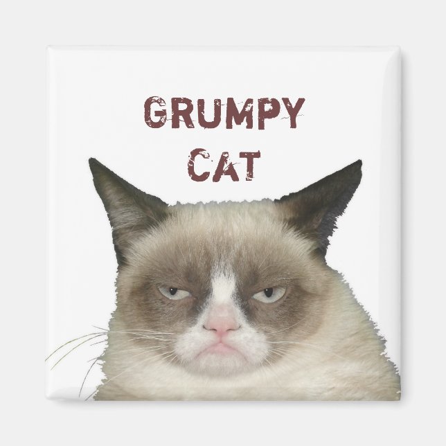 Grumpy Cat Magnet mit Text (Vorne)