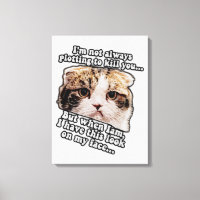 Grumpy Cat Meme für Katzenbesitzer und Kätzchenlie