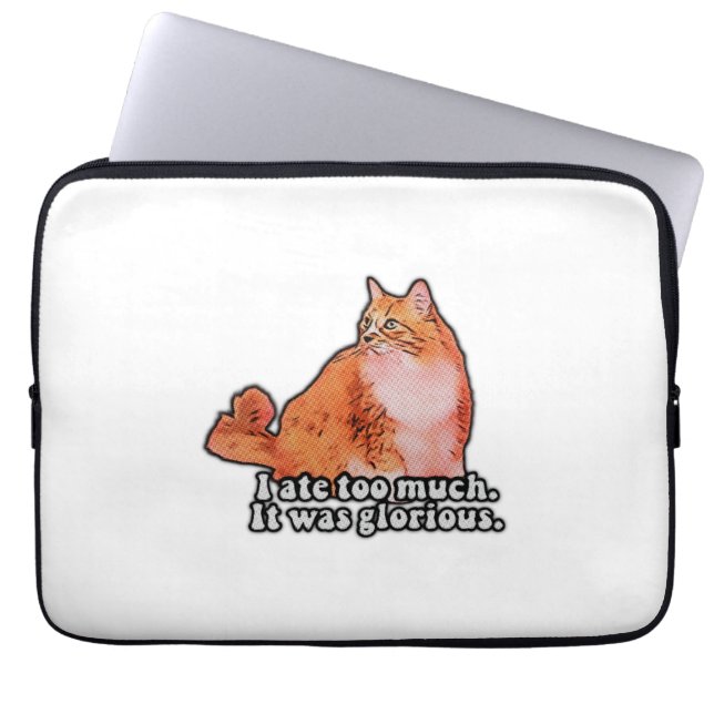 Grumpy Cat Meme für Katzenfreunde und Kittenliebha Laptopschutzhülle (Vorderseite)